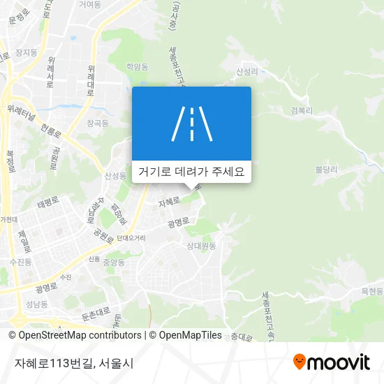 자혜로113번길 지도