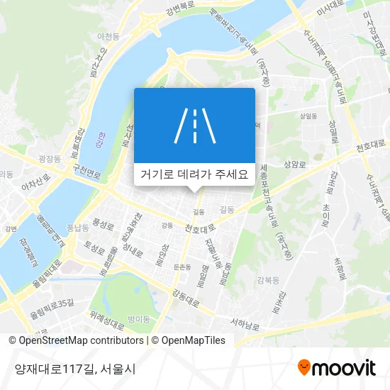 양재대로117길 지도