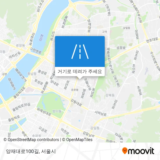 양재대로100길 지도