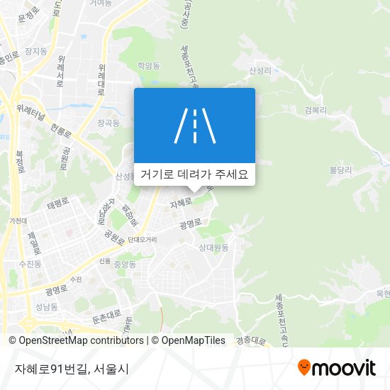 자혜로91번길 지도