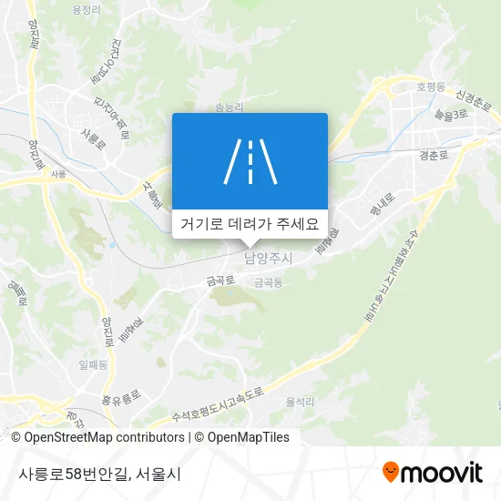 사릉로58번안길 지도