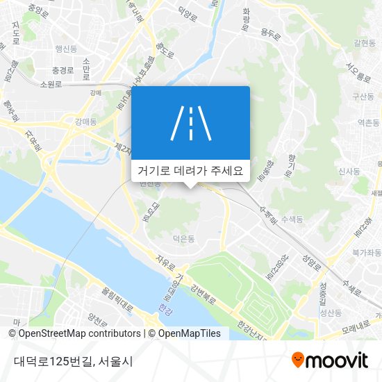대덕로125번길 지도