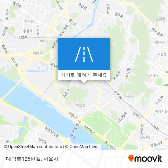 대덕로125번길 지도