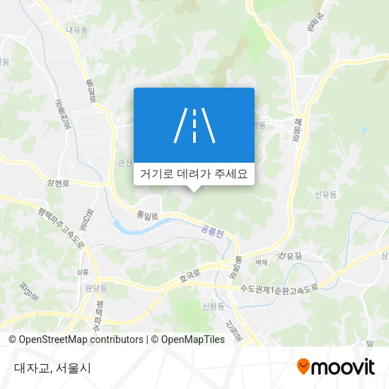 대자교 지도
