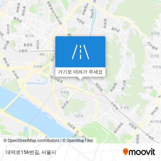 대덕로156번길 지도