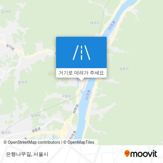 은행나무길 지도