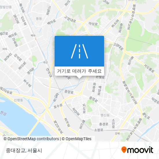 중대장교 지도