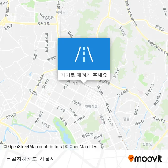 동골지하차도 지도