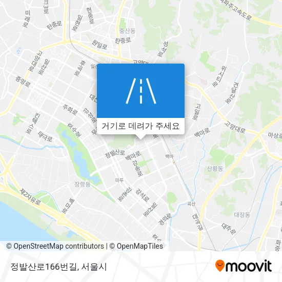 정발산로166번길 지도