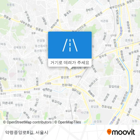 약령중앙로8길 지도