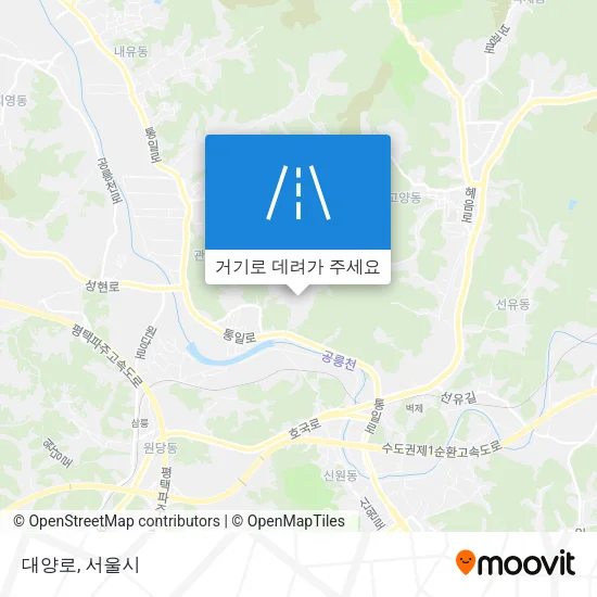 대양로 지도