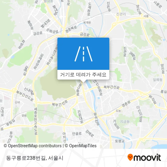 동구릉로238번길 지도
