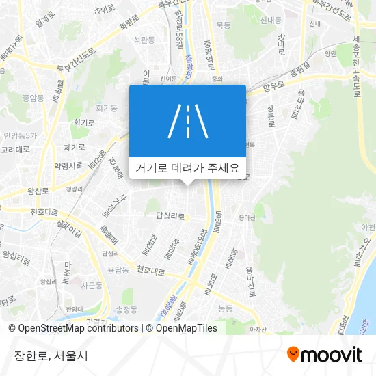 장한로 지도