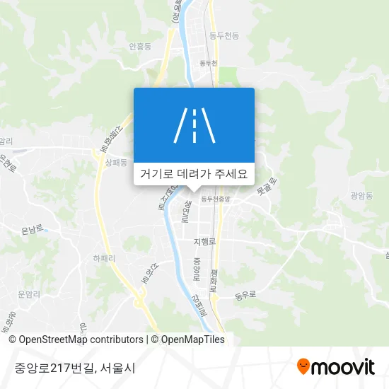 중앙로217번길 지도