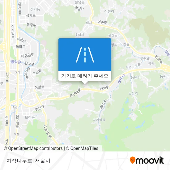 자작나무로 지도