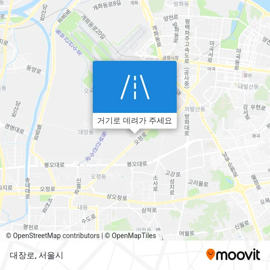대장로 지도