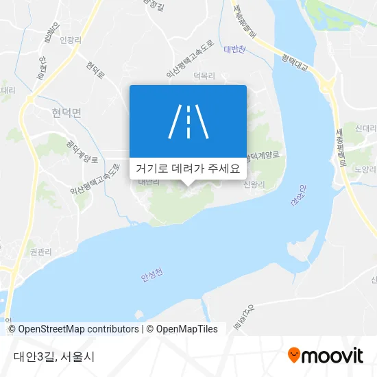 대안3길 지도