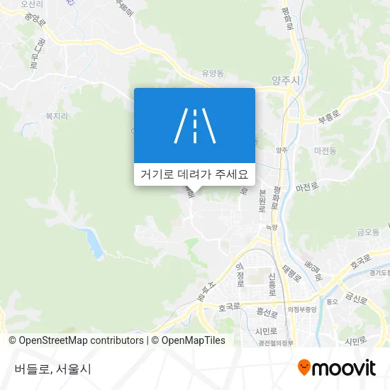 버들로 지도