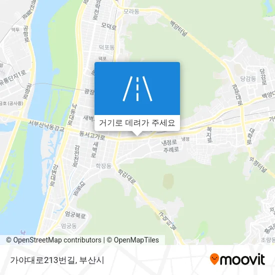 가야대로213번길 지도