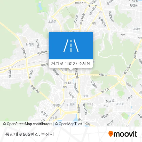 중앙대로666번길 지도