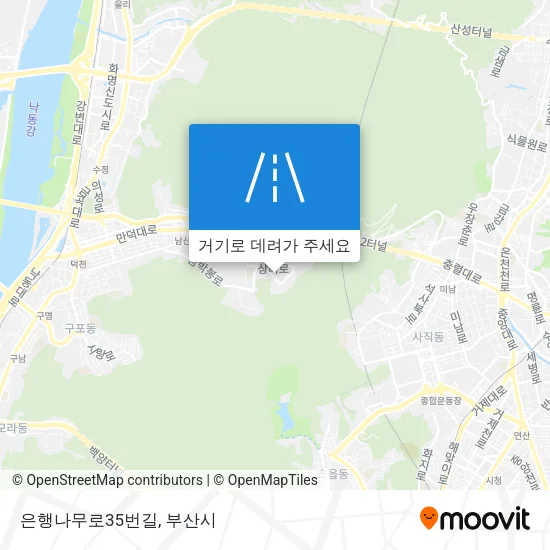 은행나무로35번길 지도