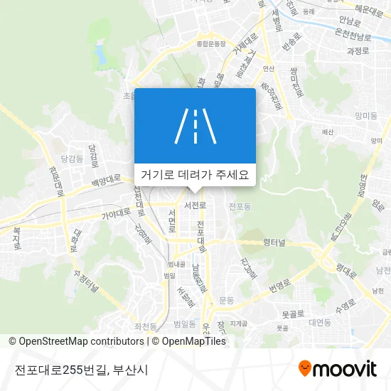 전포대로255번길 지도