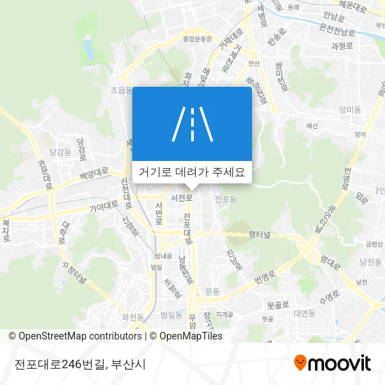 전포대로246번길 지도