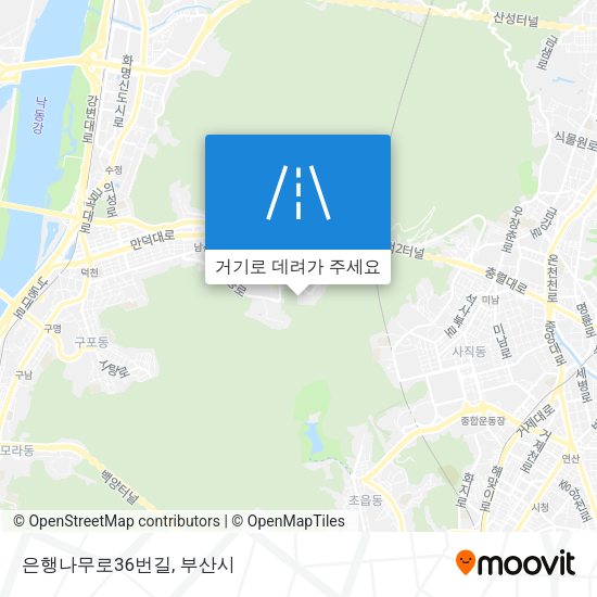 은행나무로36번길 지도