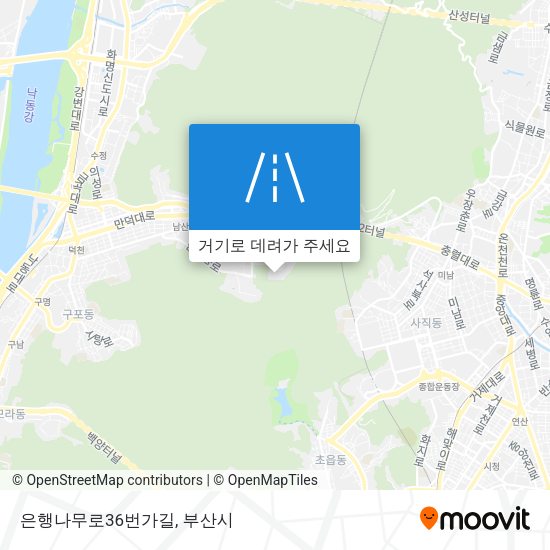 은행나무로36번가길 지도