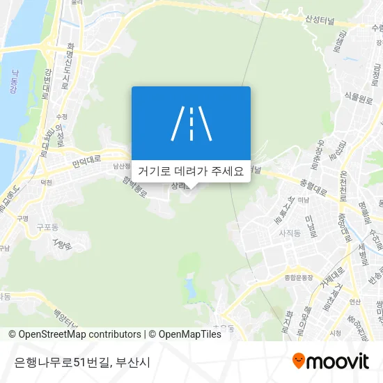 은행나무로51번길 지도