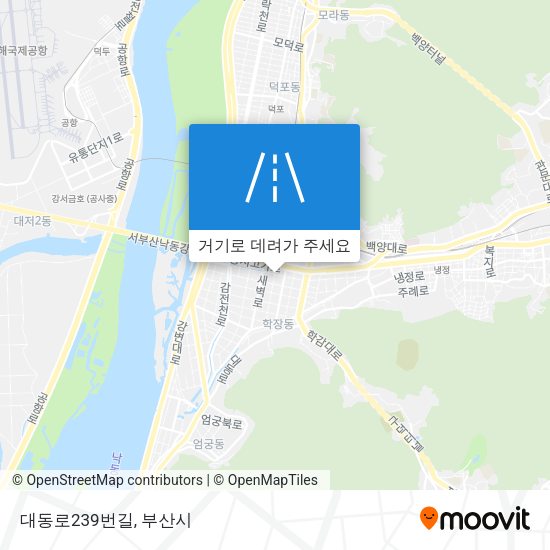 대동로239번길 지도