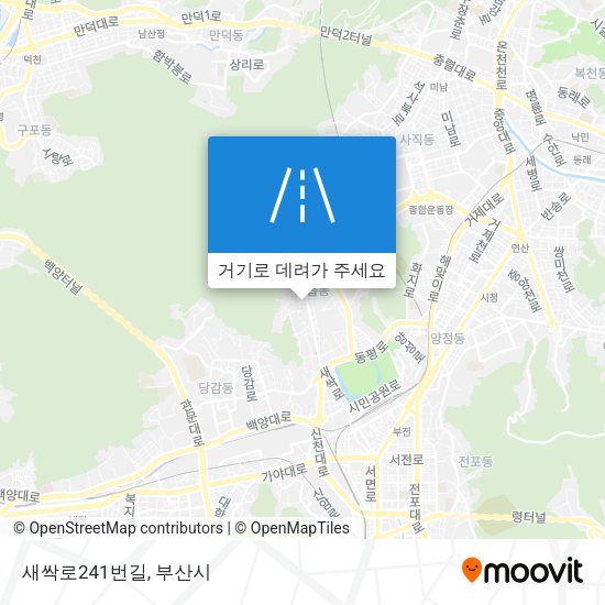 새싹로241번길 지도