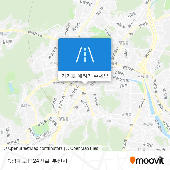 중앙대로1124번길 지도