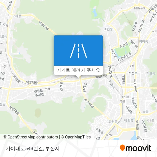가야대로543번길 지도