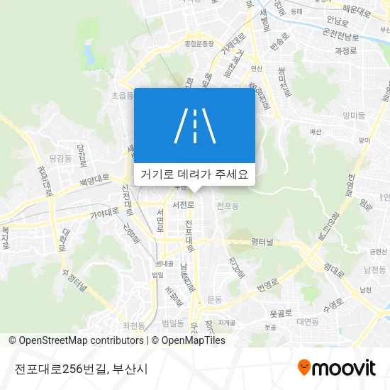 전포대로256번길 지도