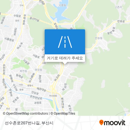 선수촌로207번나길 지도