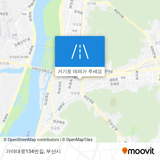 가야대로134번길 지도