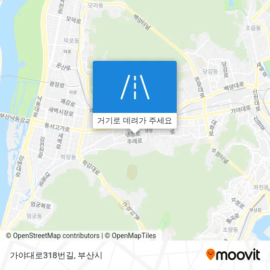가야대로318번길 지도
