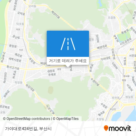 가야대로424번길 지도