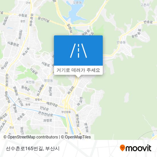 선수촌로165번길 지도