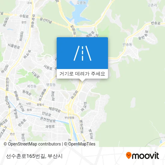 선수촌로165번길 지도