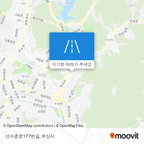 선수촌로177번길 지도