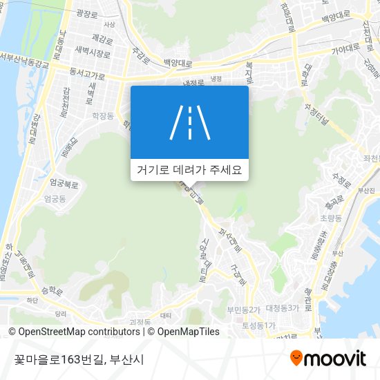꽃마을로163번길 지도