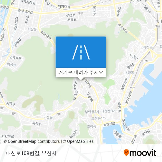 대신로109번길 지도