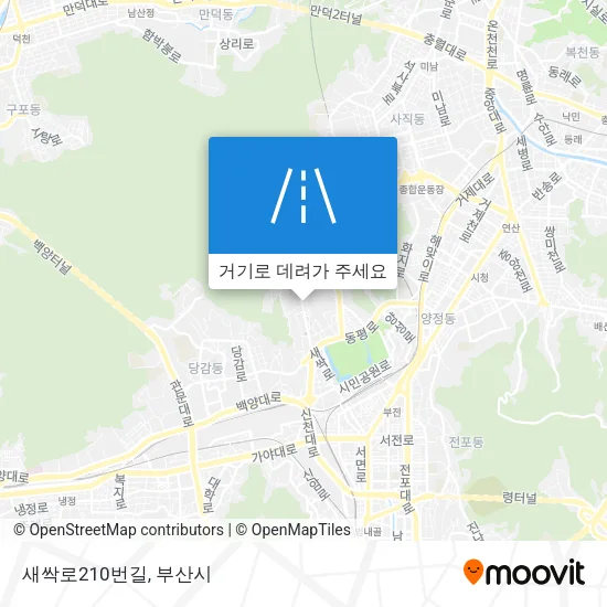 새싹로210번길 지도
