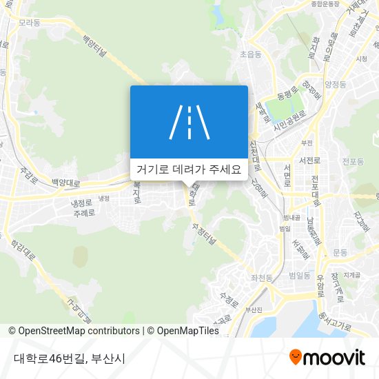 대학로46번길 지도