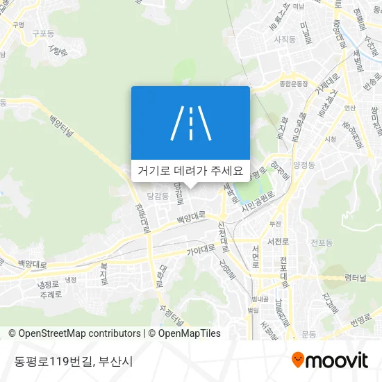 동평로119번길 지도