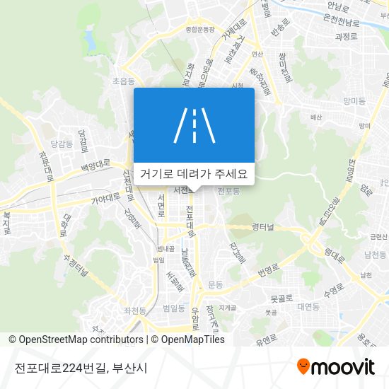 전포대로224번길 지도
