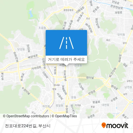 전포대로224번길 지도