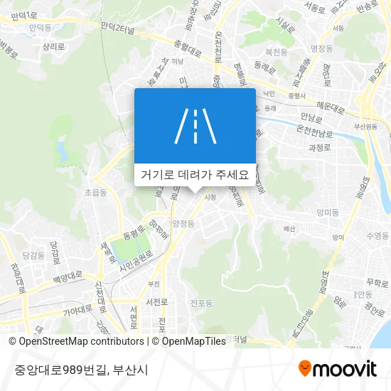 중앙대로989번길 지도